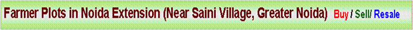 Text Box: Farmer Plots in Noida Extension (Near Saini Village, Greater Noida)  Buy / Sell/ Resale 